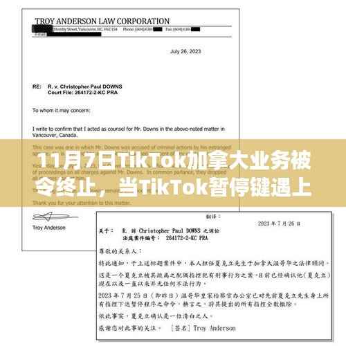 TikTok加拿大业务暂停背后的暖心故事,断网之际的善意连结