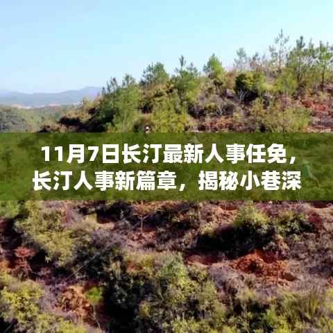 长汀人事任免新篇章,揭秘小巷特色小店与环境魅力