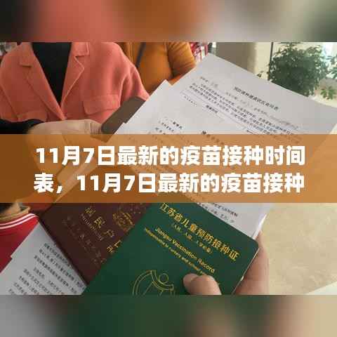 11月7日疫苗接种时间表全新解读,特性、体验、竞争分析与用户群体洞察