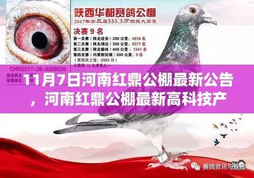 河南红鼎公棚最新高科技产品公告,未来科技魅力体验日