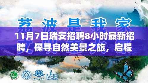 11月7日瑞安最新招聘,探寻自然美景之旅,启程寻找内心宁静与和谐的工作机会