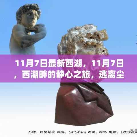 11月7日西湖畔的静心之旅,逃离喧嚣,探寻内心平和的旅程