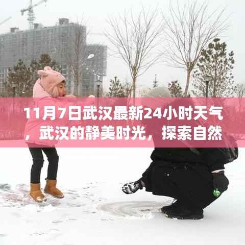 武汉静美时光,探索自然美景之旅与天气共舞——武汉最新天气预报(11月7日)