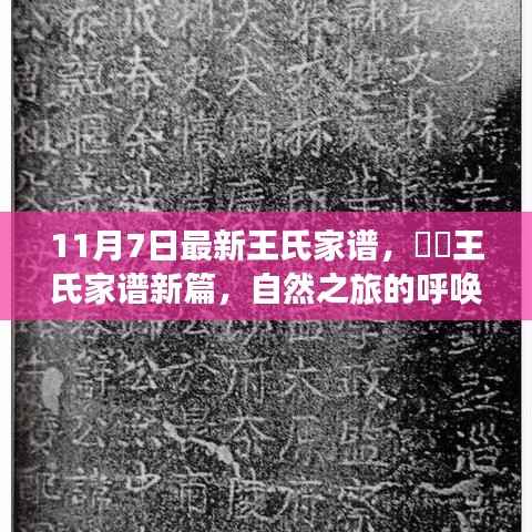 王氏家谱新篇,探寻宁静之美的启程心灵之旅(最新篇)