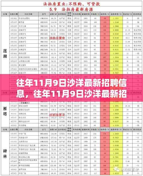 『往年11月9日沙洋最新招聘信息大全,获取与应聘攻略,适合初学者与进阶用户』