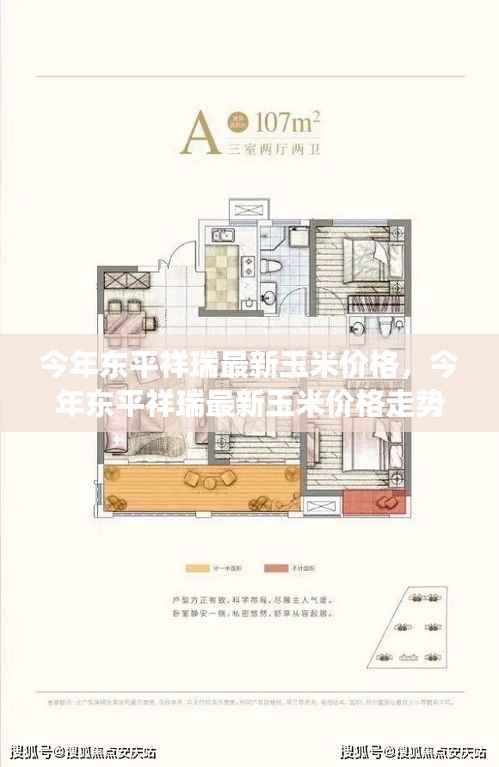 东平祥瑞最新玉米价格走势分析,今年趋势及其影响因素观察与观点解读