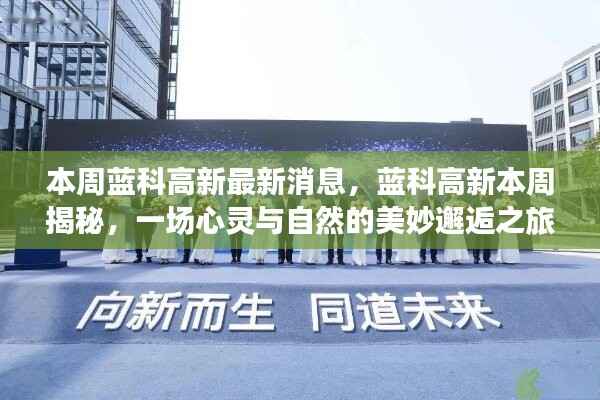 蓝科高新本周揭秘,心灵与自然的邂逅之旅