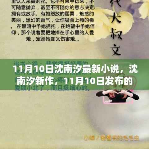 沈南汐最新小说发布,文学魅力与争议焦点解析(11月10日新作)