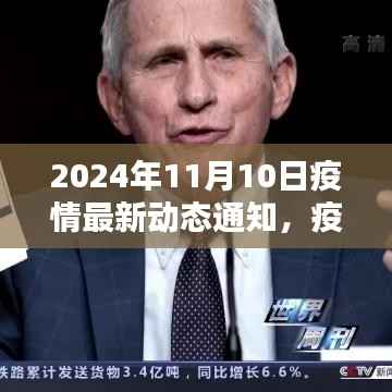 2024年11月10日疫情最新动态通知及防疫指南,安全应对疫情步骤详解