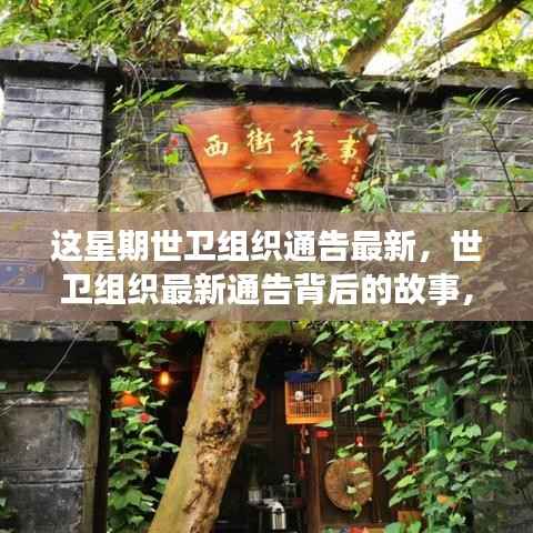 世卫组织最新通告背后的故事与小巷深处的独特小店探索揭秘