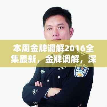 金牌调解深度解析，本周节目内容与影响回顾（最新全集）