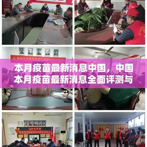 中国本月疫苗最新消息全面介绍与评测