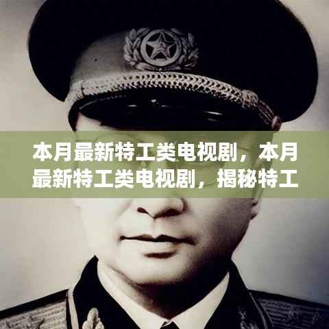 本月最新特工类电视剧揭秘,特工世界的风云激荡