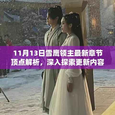 11月13日雪鹰领主最新章节顶点解析,深入探索更新内容