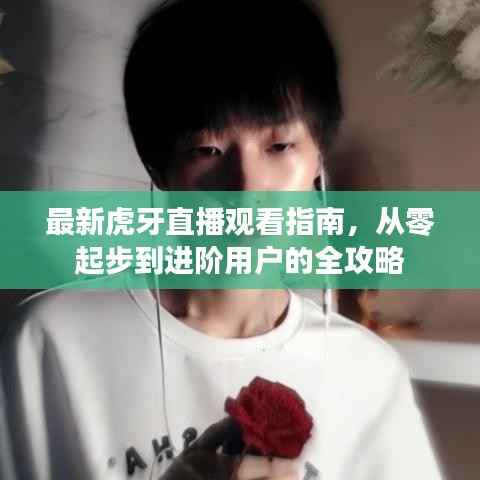 最新虎牙直播观看指南,从零起步到进阶用户的全攻略
