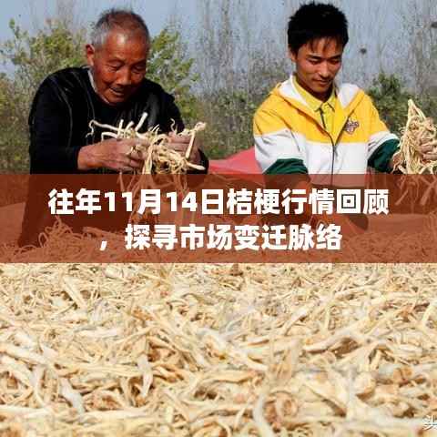 往年11月14日桔梗行情回顾,探寻市场变迁脉络