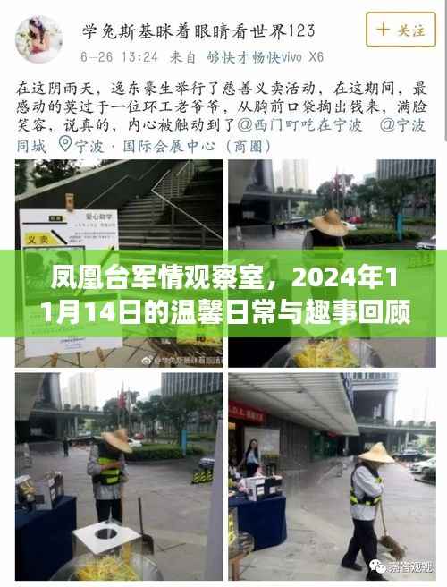 凤凰台军情观察室,2024年11月14日的温馨日常与趣事回顾