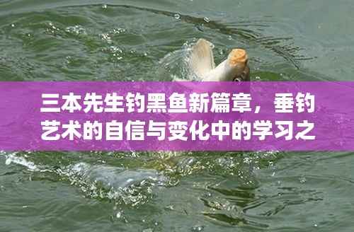 三本先生钓黑鱼新篇章,垂钓艺术的自信与变化中的学习之道