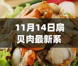 11月14日扇贝肉最新系列全面评测,特性、体验、竞品对比及用户群体深度分析