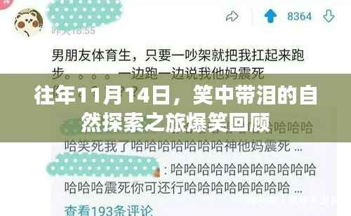 往年11月14日,笑中带泪的自然探索之旅爆笑回顾