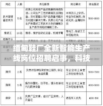 缅甸鞋厂全新智能生产线岗位招聘启事,科技革新,体验匠心之作,舒适启程!