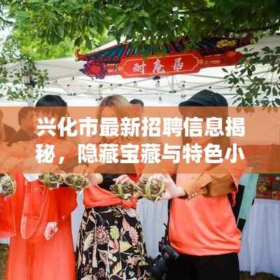 兴化市最新招聘信息揭秘,隐藏宝藏与特色小店的奇妙邂逅日回顾