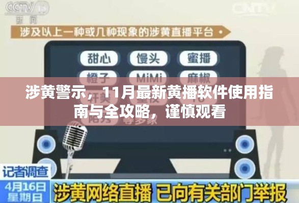 涉黄警示,11月最新黄播软件使用指南与全攻略,谨慎观看