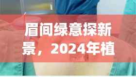 眉间绿意探新景,2024年植眉最新自然美景视频发布