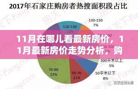 11月最新房价走势分析与购房者必看指南
