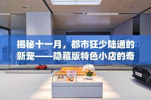 揭秘十一月,都市狂少陆通的新宠——隐藏版特色小店的奇妙之旅
