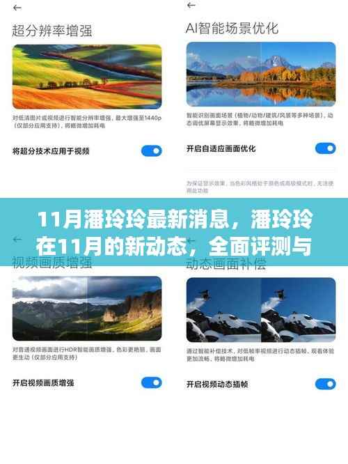 潘玲玲十一月最新动态,全面评测与深度介绍