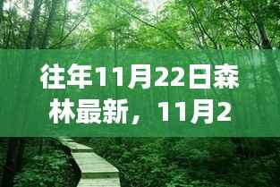 深入森林之心,寻找内心平静的奇妙之旅