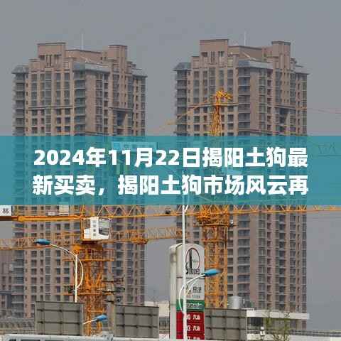 揭阳土狗市场风云再起,最新买卖动态,开启新篇章 2024年11月22日