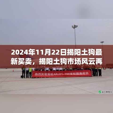 揭阳土狗市场风云再起,最新买卖动态,开启新篇章 2024年11月22日