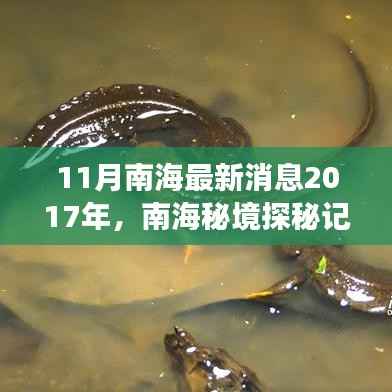 南海秘境探秘记,追寻内心宁静与微笑的旅程(最新消息)