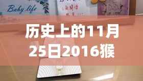 揭秘猴币回收价格背后的故事,历史回顾与最新动态(猴年纪念版)