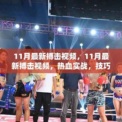 11月最新搏击视频,热血实战展现技巧与力量的完美融合