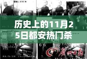 历史上的11月25日都安热门杀人案深度解析,三大要点揭秘案件真相