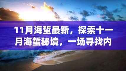 十一月海蜇秘境探索,深海之旅与内心平静的追寻