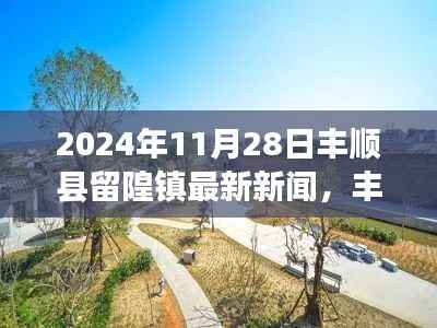 丰顺县留隍镇最新新闻报道,2024年11月28日时事动态