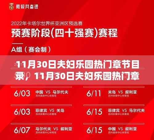 深度解析,11月30日夫妇乐园热门章节及其影响与观点分歧