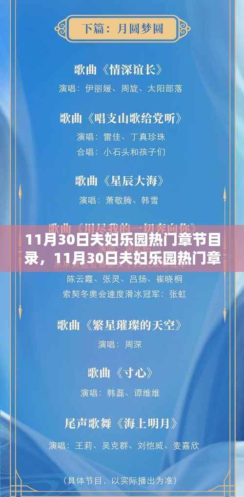 深度解析,11月30日夫妇乐园热门章节及其影响与观点分歧