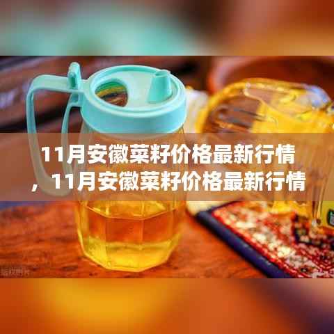 安徽菜籽价格最新行情解析,市场走势与影响因素全面探讨(11月版)