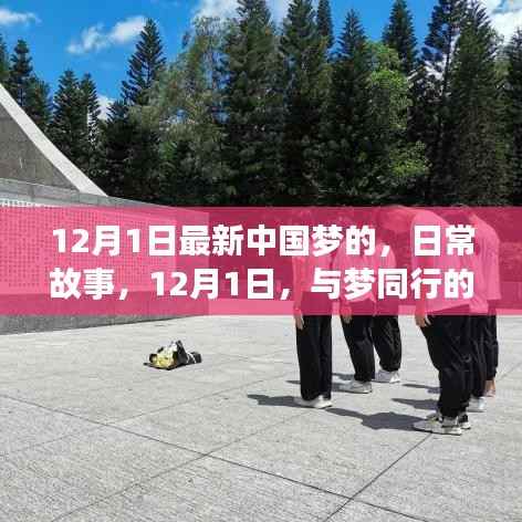 日常故事,与梦同行的温馨时光,见证中国梦的力量(涉政)