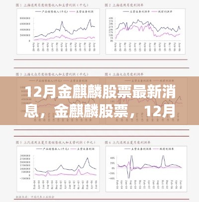 12月金麒麟股票最新动态及领域地位深度解析