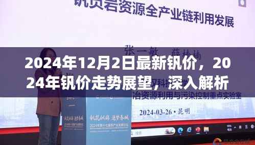 2024年钒价最新动态及未来走势展望，深度解析与观点阐述