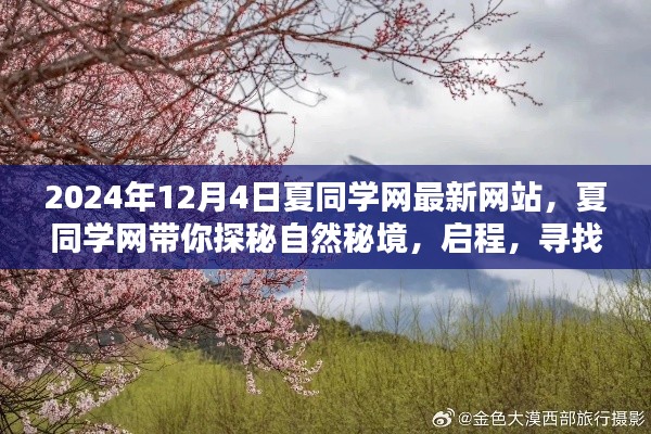 夏同学网带你启程探索自然秘境,探寻内心桃花源的新篇章(2024年最新网站)
