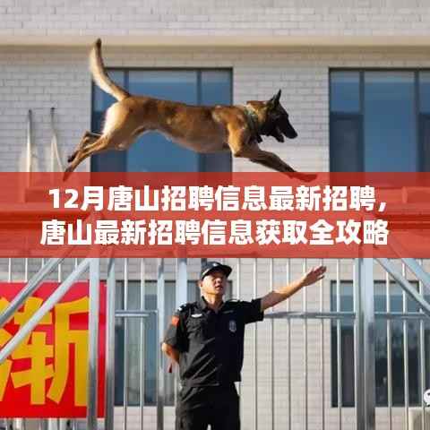 唐山最新招聘信息获取全攻略,入门到精通,轻松找到心仪工作!