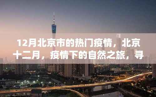 北京十二月疫情下的自然之旅,寻找内心宁静与力量