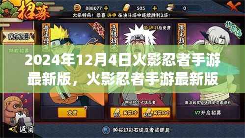 火影忍者手游最新版深度体验报告与解析(2024年12月版)